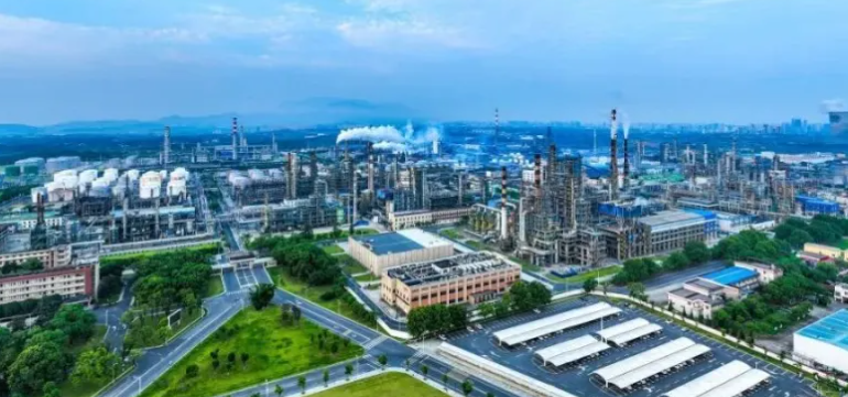 铜仁市碧江区全红网络信息工作室网站建设服务流程与技术选型解析